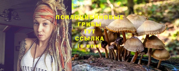 скорость mdpv Покачи