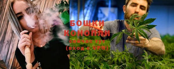 амф Протвино