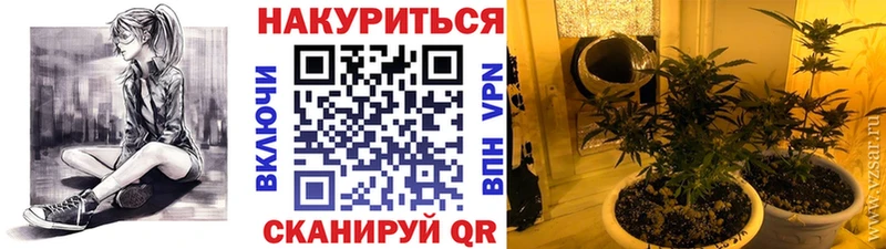 Марихуана ГИДРОПОН  Купить где  Менделеевск 